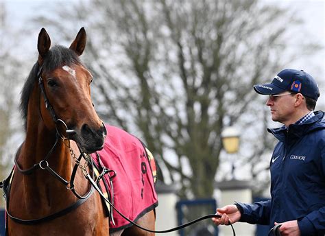 aidanobrienfansite|Aidan O'Brien Horse Racing Fans .